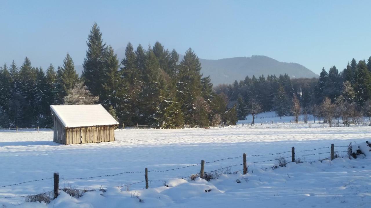 Im-Oberland - Tal - Apartment Бад Колгруб Екстериор снимка