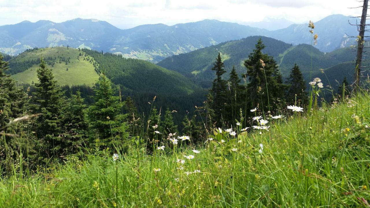 Im-Oberland - Tal - Apartment Бад Колгруб Екстериор снимка