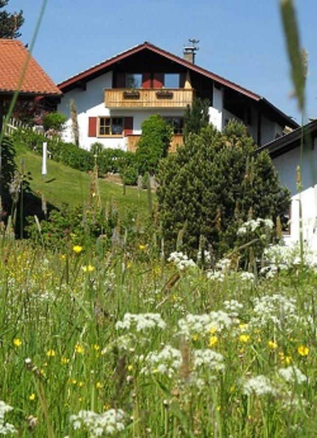 Im-Oberland - Tal - Apartment Бад Колгруб Екстериор снимка